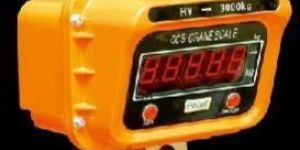 Crane Scale with Remote Control