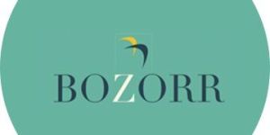 Handcrafted Wooden Seater Sofa