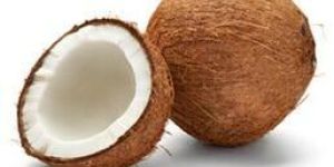 Mature Coconut