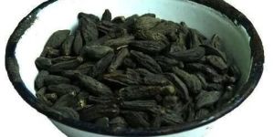 Bal Hirda Himaj