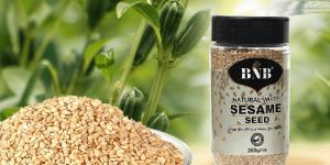 Natural White Sesame Seed