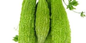 Bitter Gourd