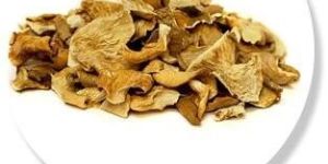 Dehydrated Dry Oyster Mushroom