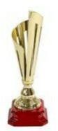 Metal Trophy