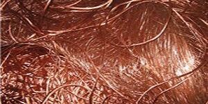 Copper Wire Scrap