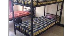 Hostel Bed