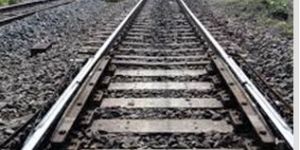 Improved Switch Expansion Joint