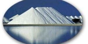 Salt
