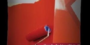 Wall Queen Wall Putty