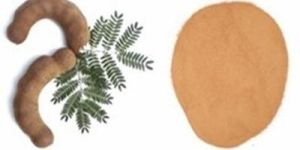 Spray Dried Tamarind Powder