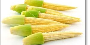 Baby Corn F1 Hybrid - Seeds