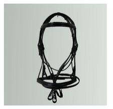 Horse Bridle