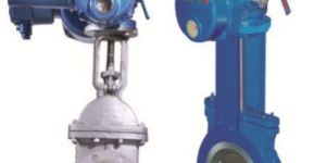 Motorized Gate Valve