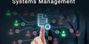 Management System Services