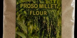 Proso Millet Aata