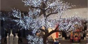 LED Tree