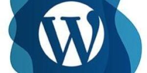 Wordpress Website Development Services