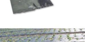 Agro Packaging Products