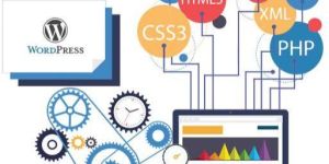 Website Development Services