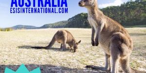 Overseas Education Services