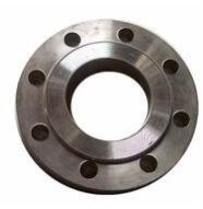 Duplex Steel Flanges