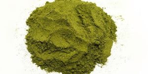 Organic Moringa Powder - USDA Certified