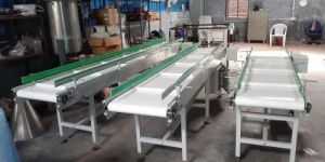 Flat Belt Conveyor
