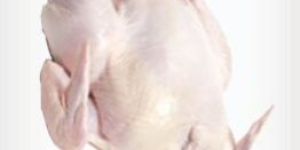 Fresh Raw Chicken