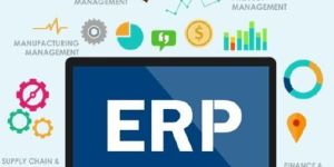 ERP App Development Services