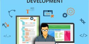 Web Development Service