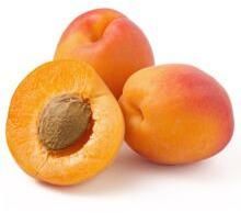 APRICOT KERNEL OIL