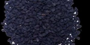 Black Cumin Seed / Nigella Sativa Seed