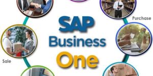 SAP Business One Support