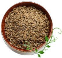 Cumin Seeds