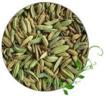 Fennel Seeds