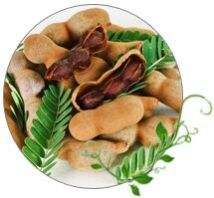 Tamarind