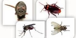 General Pest Management