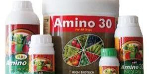 Amino-30 Onion Special