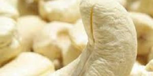 Cashew Nuts