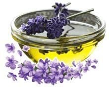 Organic Lavender Oil