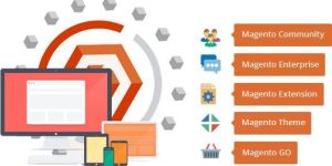 Magento Development Services