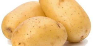 Fresh Potato