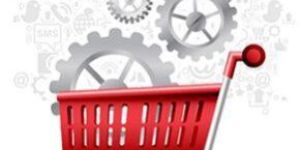 e-commerce Development Services