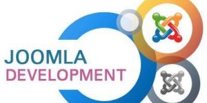 Joomla Development Services