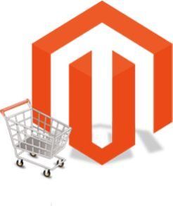 Magento Development Services