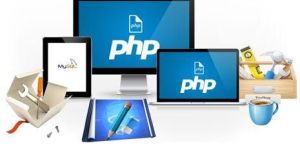 Web Development Services