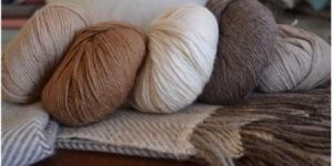 Alpaca Wool