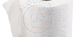 Toilet Tissue Paper Roll