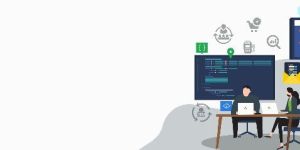 ERP Customization Services