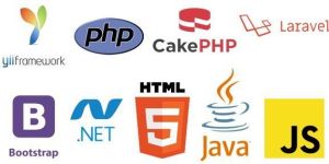 Web Development Services